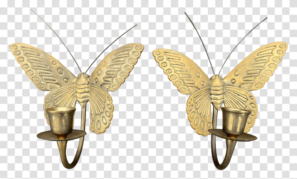 Swallowtail Butterfly Transparent Png