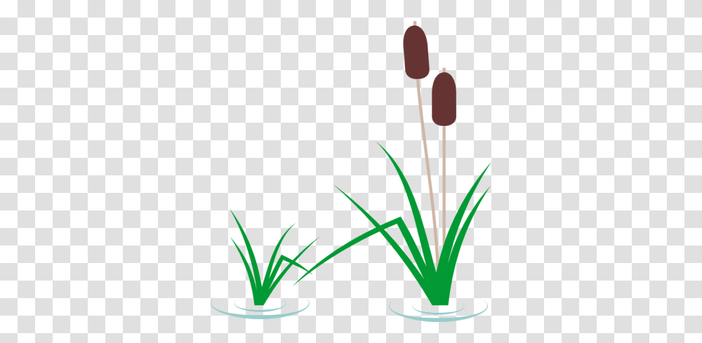 Swamp Background Cliparts, Plant, Flower, Jar, Petal Transparent Png