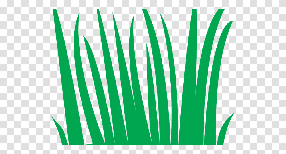 Swamp Clipart Grass Field Animasi Rumput, Plant, Tree, Spoke, Machine Transparent Png