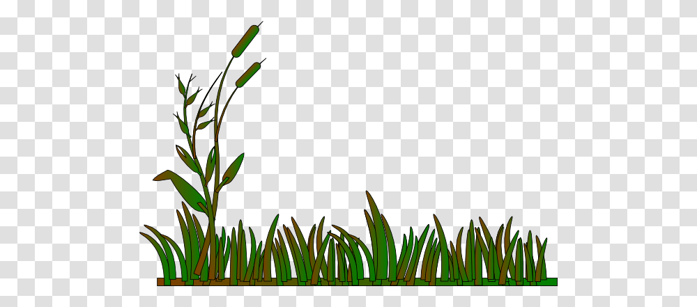 Swamp Clipart Wetland, Plant, Flower, Daffodil, Amaryllidaceae Transparent Png