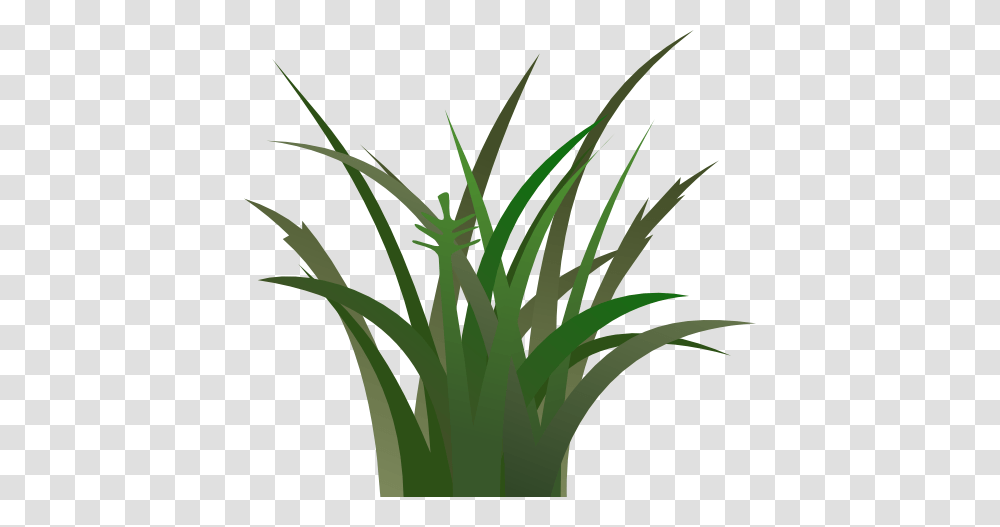 Swamp Grass Clipart, Plant, Flower, Blossom, Bamboo Transparent Png