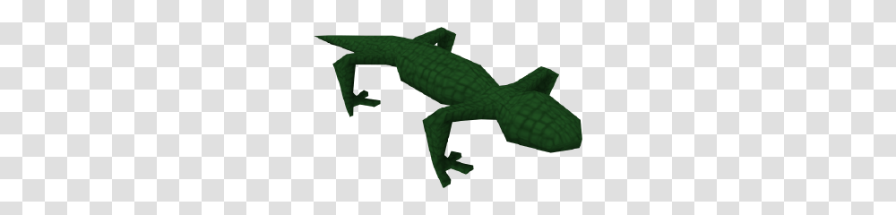 Swamp Lizard, Reptile, Animal, Gecko, Crocodile Transparent Png