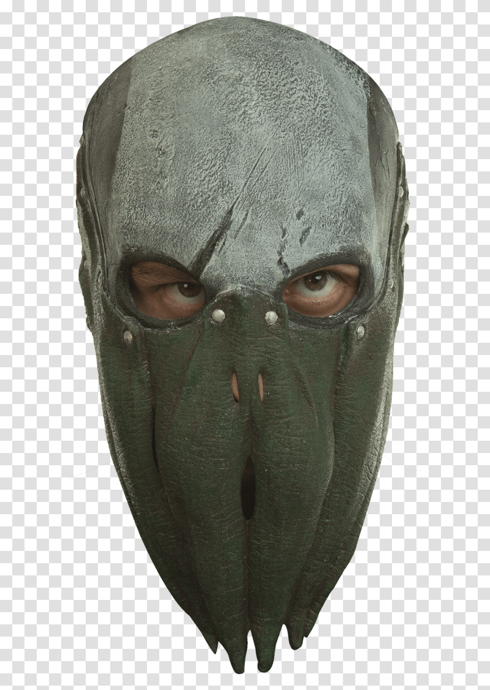 Swamp Monster Face Mask, Person, Human Transparent Png