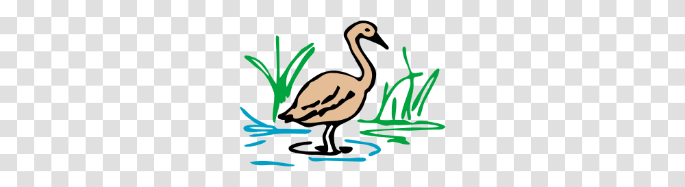 Swamp Scene Cliparts, Animal, Waterfowl, Bird, Poster Transparent Png