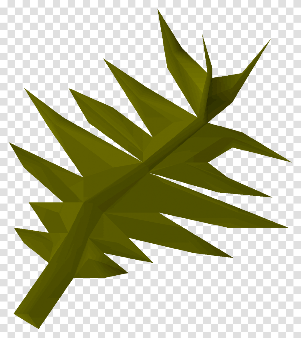 Swamp Weed, Leaf, Plant, Green, Fern Transparent Png