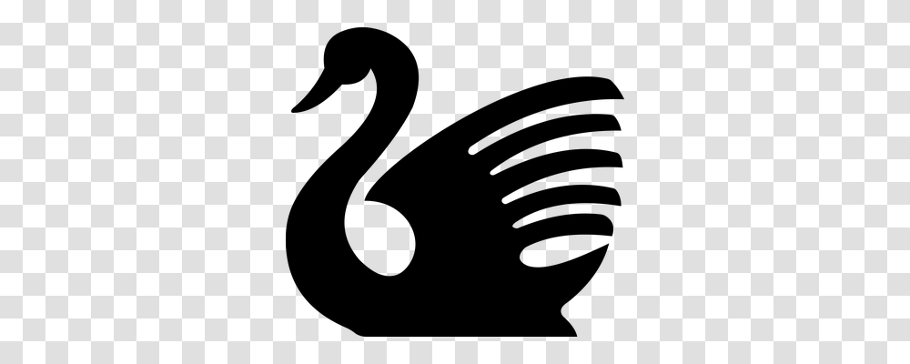 Swan Animals, Gray, World Of Warcraft Transparent Png