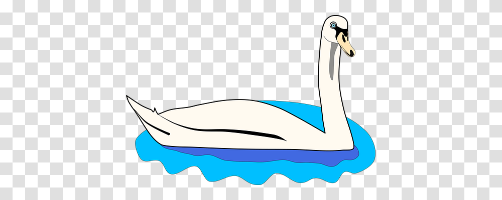 Swan Animals, Bird, Beak, Duck Transparent Png