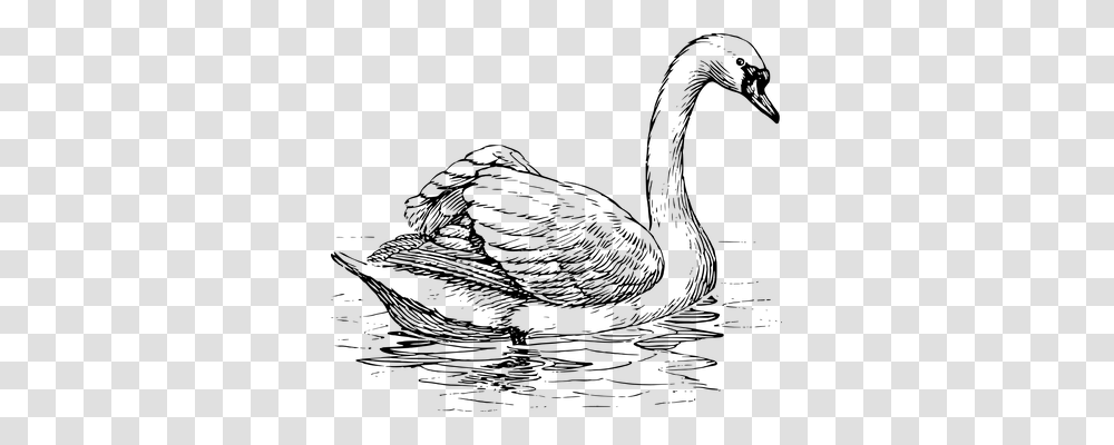 Swan Technology, Gray, World Of Warcraft Transparent Png