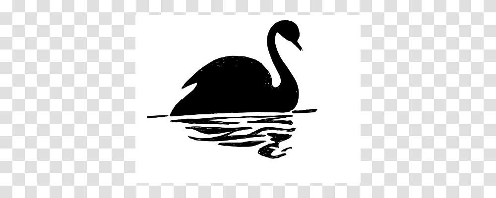 Swan Silhouette, Bird, Animal, Waterfowl Transparent Png