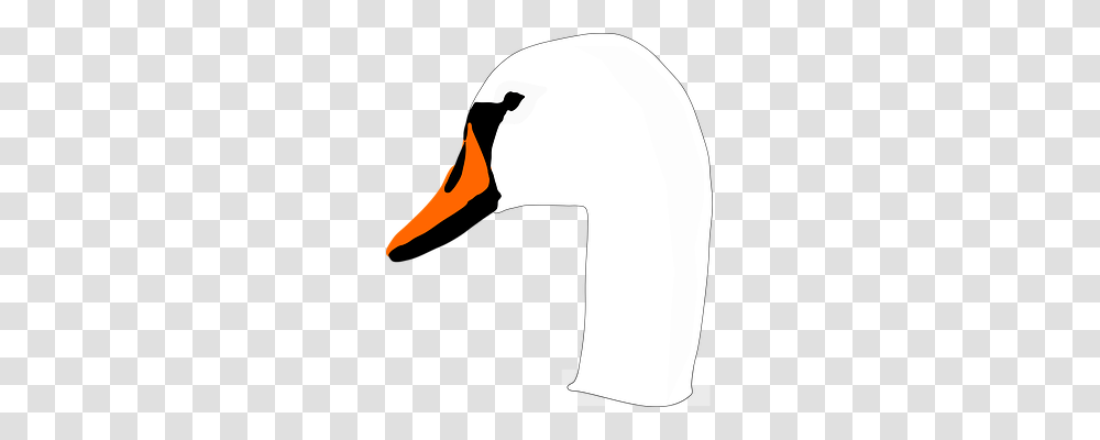 Swan Animals, Silhouette, Bird, Person Transparent Png