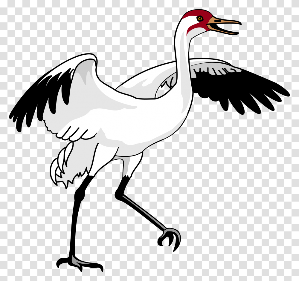 Swan 3 Images Cartoon Crane Bird Clipart, Animal, Stork Transparent Png