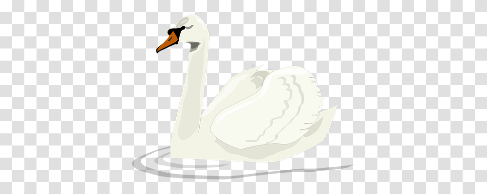 Swan Animals, Bird, Goose, Waterfowl Transparent Png