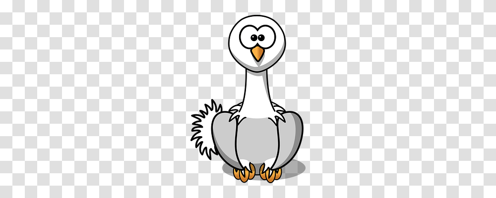 Swan Animals, Bird, Duck, Waterfowl Transparent Png