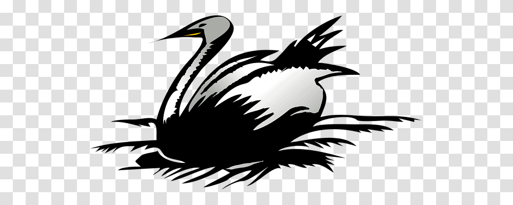 Swan Nature, Bird, Animal, Silhouette Transparent Png