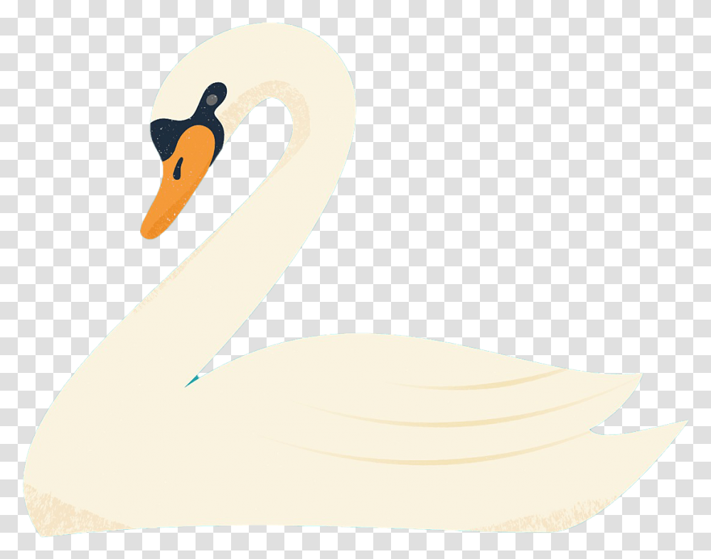 Swan, Animal, Bird, Flamingo, Waterfowl Transparent Png