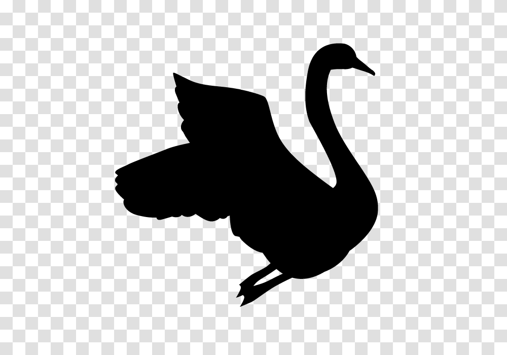 Swan Animal Silhouette Free Illustrations, Gray, World Of Warcraft Transparent Png