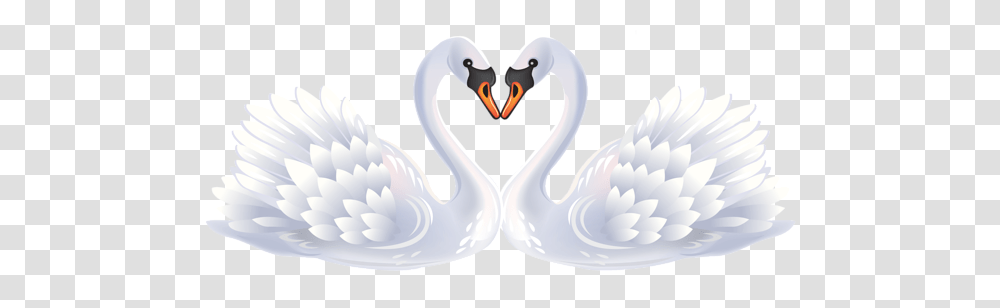 Swan, Animals, Bird, Waterfowl, Beak Transparent Png