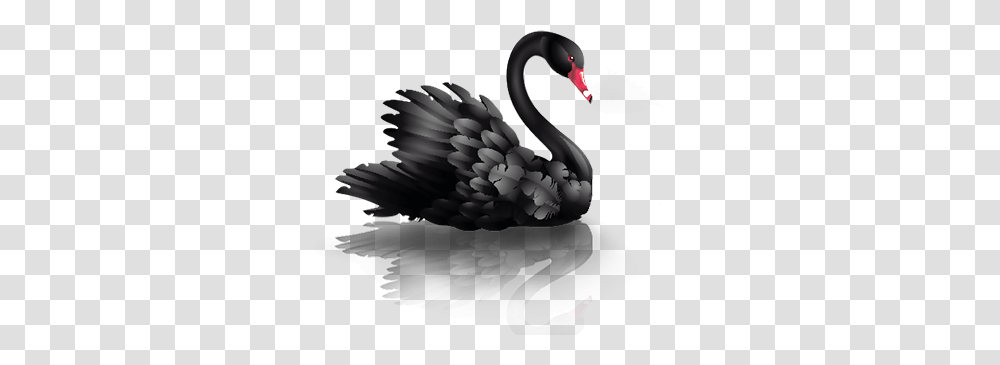 Swan, Animals, Eagle, Bird, Waterfowl Transparent Png