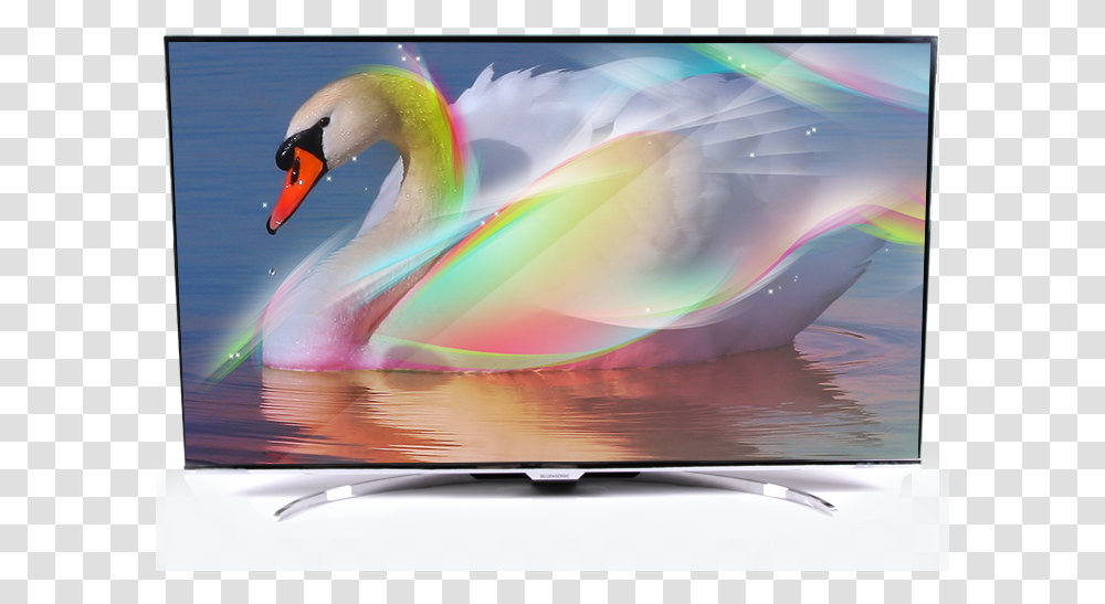 Swan Beautiful, Monitor, Screen, Electronics, Display Transparent Png