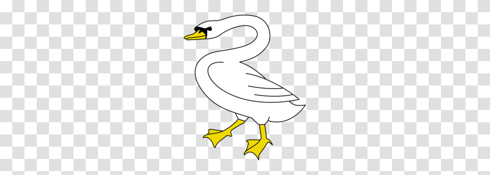 Swan Caviar Clipart Free Clipart Images Image, Bird, Animal, Goose, Waterfowl Transparent Png