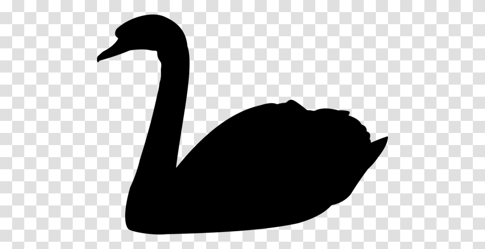 Swan Clipart Black And White Nice Clip Art, Gray, World Of Warcraft Transparent Png
