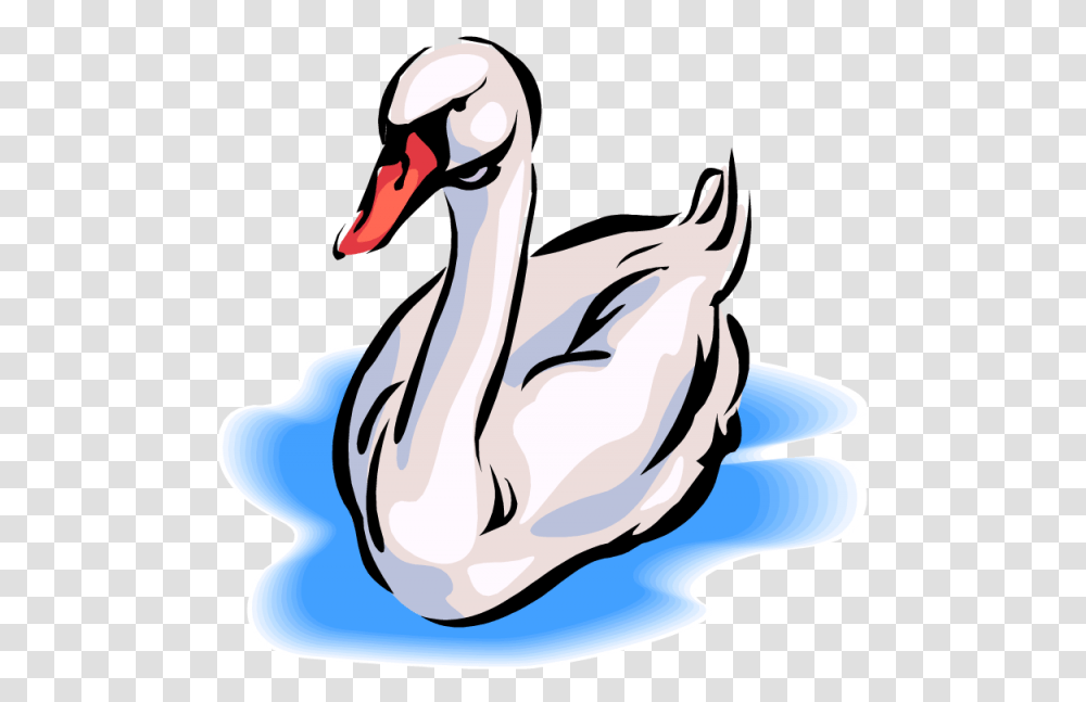 Swan Clipart Nice Clip Art, Animal, Bird, Waterfowl, Goose Transparent Png