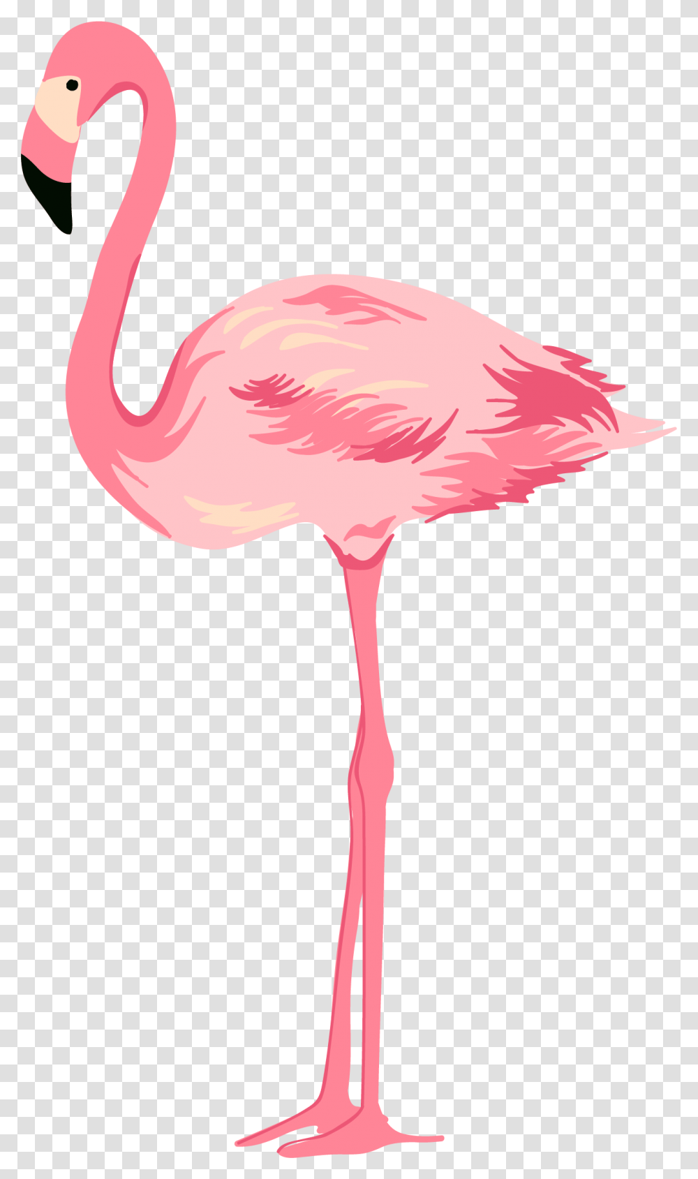Swan Clipart Pink, Flamingo, Bird, Animal Transparent Png