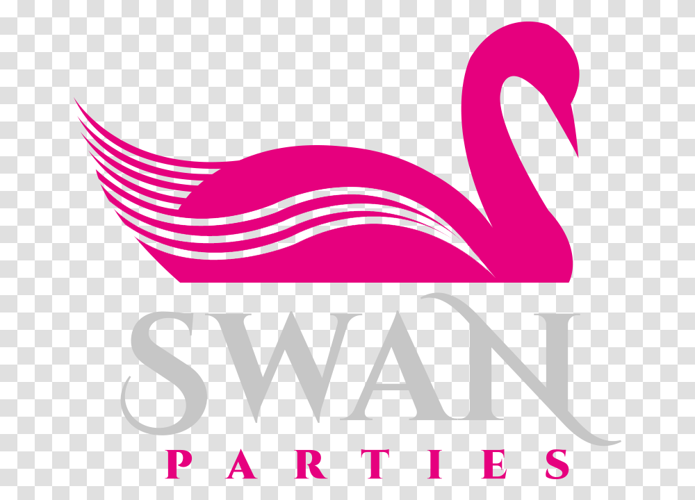 Swan Graphic Design, Animal, Bird, Flamingo Transparent Png