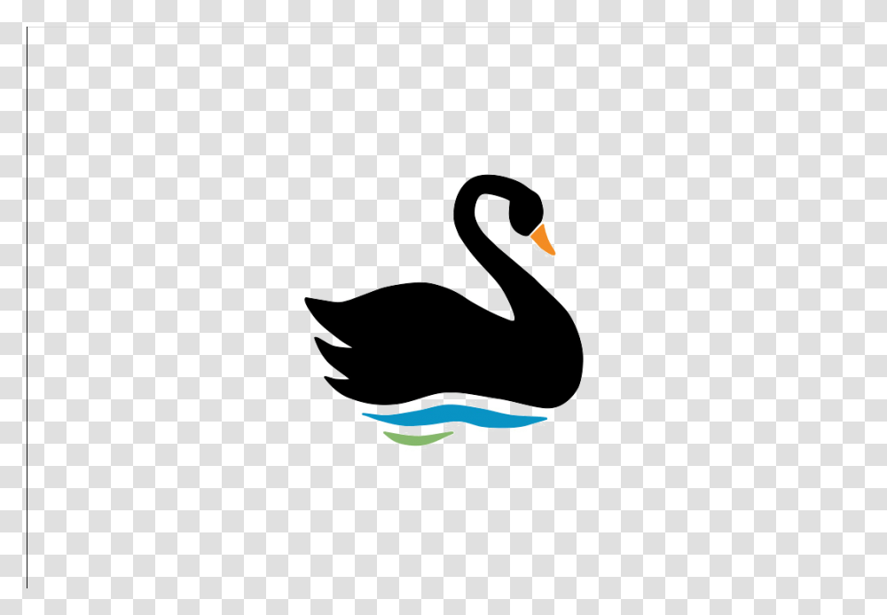 Swan Image Black Swan, Waterfowl, Bird, Animal, Silhouette Transparent Png