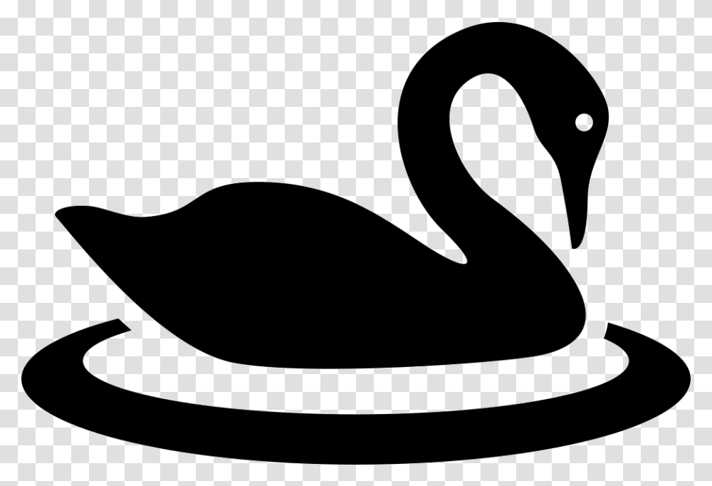 Swan In Water Circle Black Swan Icon, Waterfowl, Bird, Animal, Silhouette Transparent Png