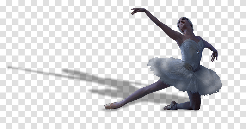 Swan Lake Birmingham Alabama Ballet Birmingham Alabama Ballet Swan Lake, Dance, Person, Human, Ballerina Transparent Png