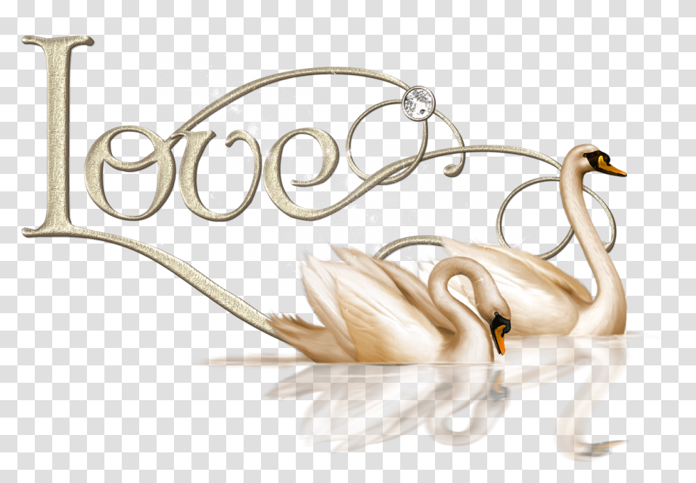 Swan Love Picture Love Swan, Bird, Animal, Plant, Flower Transparent Png