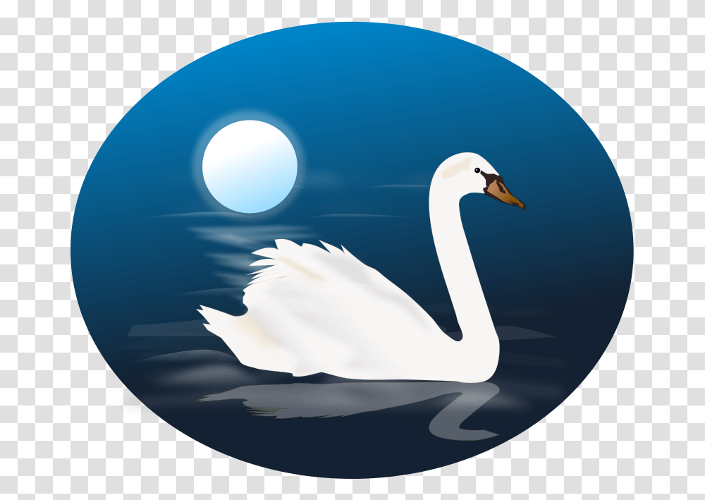 Swan, Nature, Bird, Animal Transparent Png