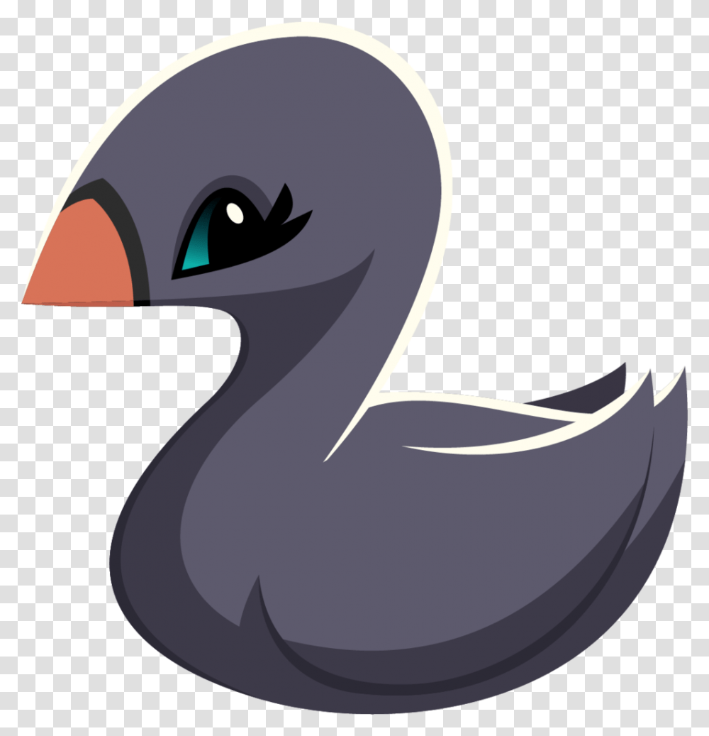 Swan Pet, Bird, Animal, Dodo, Duck Transparent Png