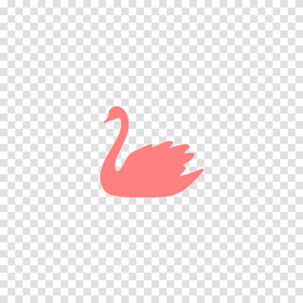 Swan Picture Arts, Bird, Animal, Ketchup, Food Transparent Png