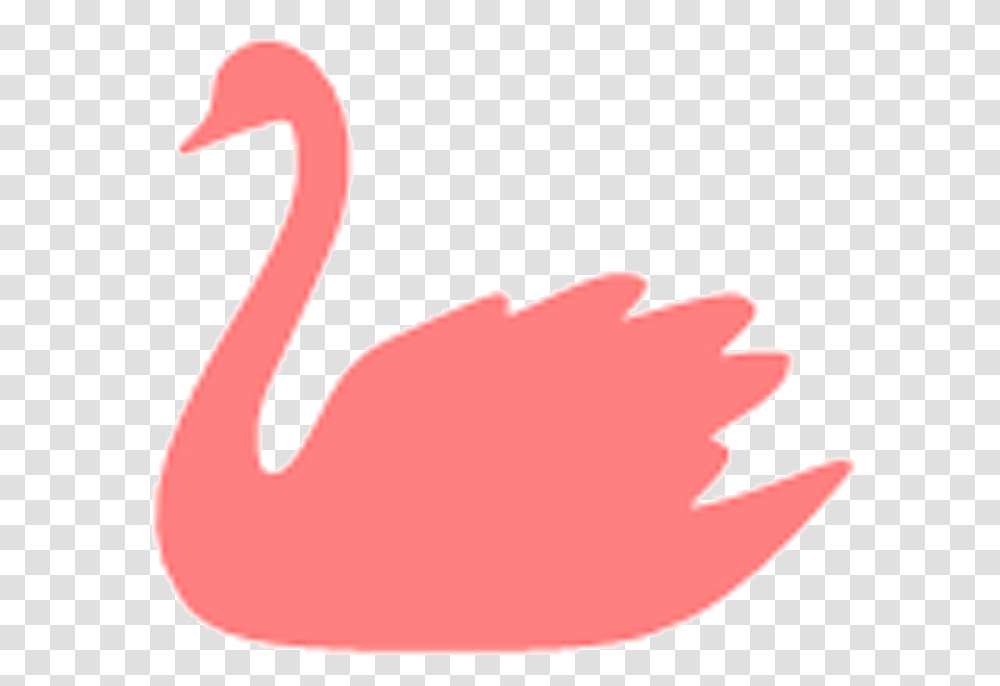 Swan Picture Clipart Lska, Animal, Flamingo, Bird Transparent Png