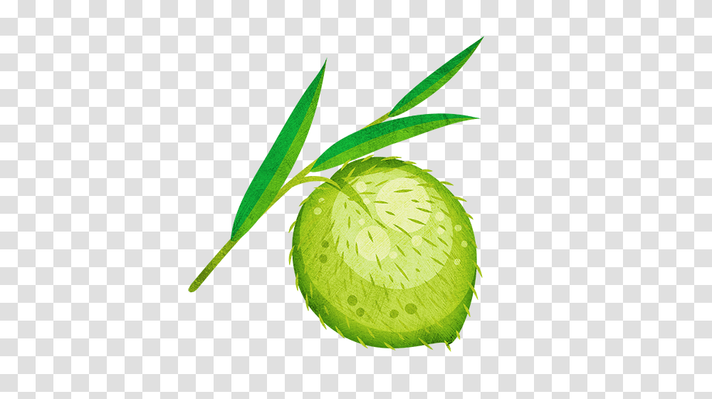 Swan Plant Little Garden, Green, Tennis Ball, Sport, Sports Transparent Png