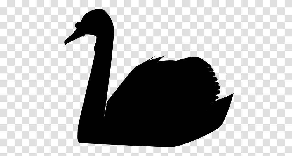 Swan Silhouette Clip Art, Animal, Bird, Waterfowl, Black Swan Transparent Png