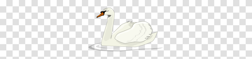 Swan Swimming Clip Art, Animal, Bird, Goose, Waterfowl Transparent Png