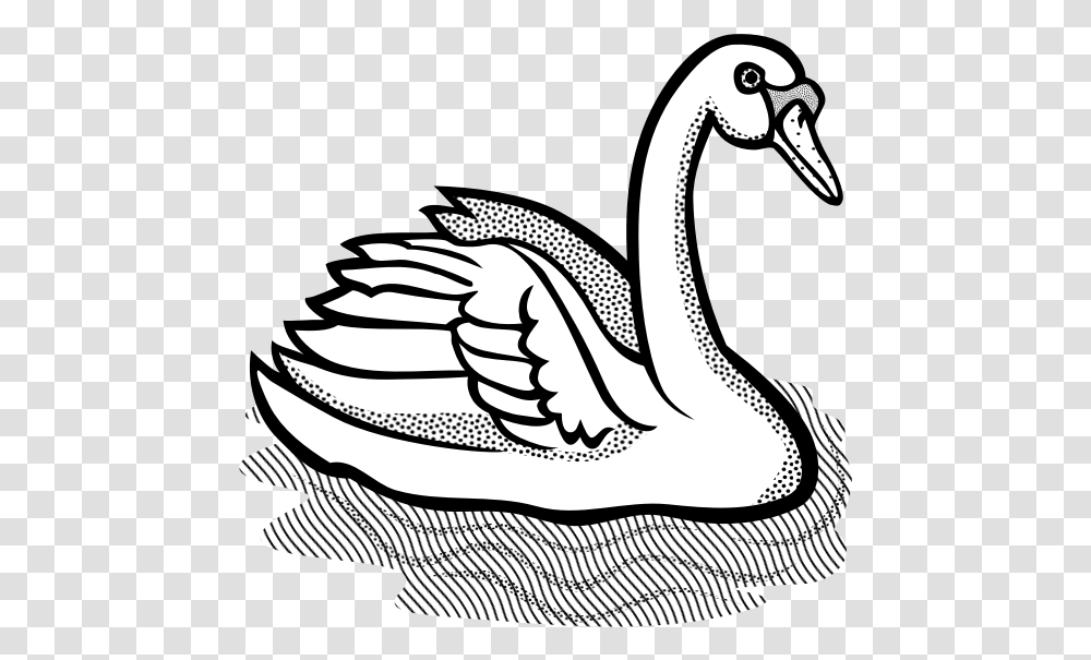 Swan With Part Spotty Feathers In Water Vector Image Clipart Black And White Swan, Animal, Bird, Waterfowl Transparent Png