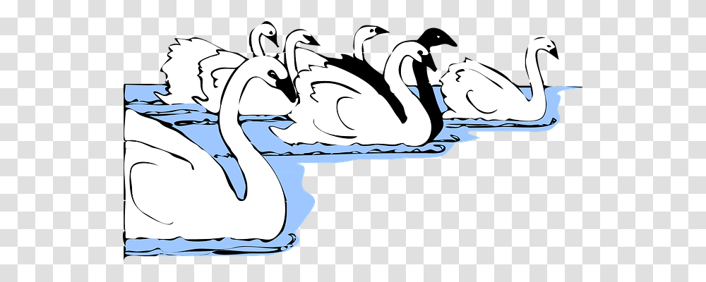 Swans Nature, Bird, Animal, Goose Transparent Png