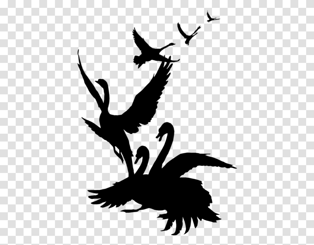 Swans Flying Clip Art, Gray, World Of Warcraft Transparent Png