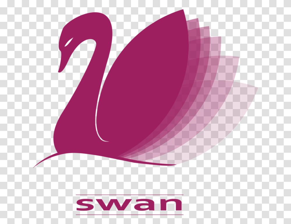 Swans Logo 3 Image Graphic Design, Bird, Animal, Flamingo, Waterfowl Transparent Png