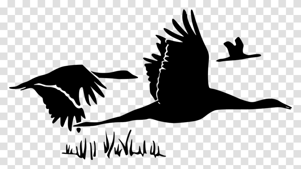 Swans Silhouette Black Flying Birds Three Want This Music And This Dawn, Gray, World Of Warcraft Transparent Png