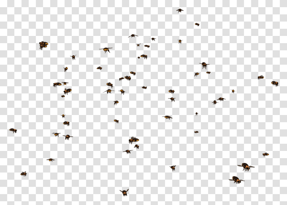 Swarm Clipart Swarm Of Bees, Paper, Confetti, Animal, Crowd Transparent Png