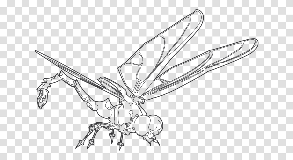 Swarm Line Art, Bow, Insect, Invertebrate, Animal Transparent Png