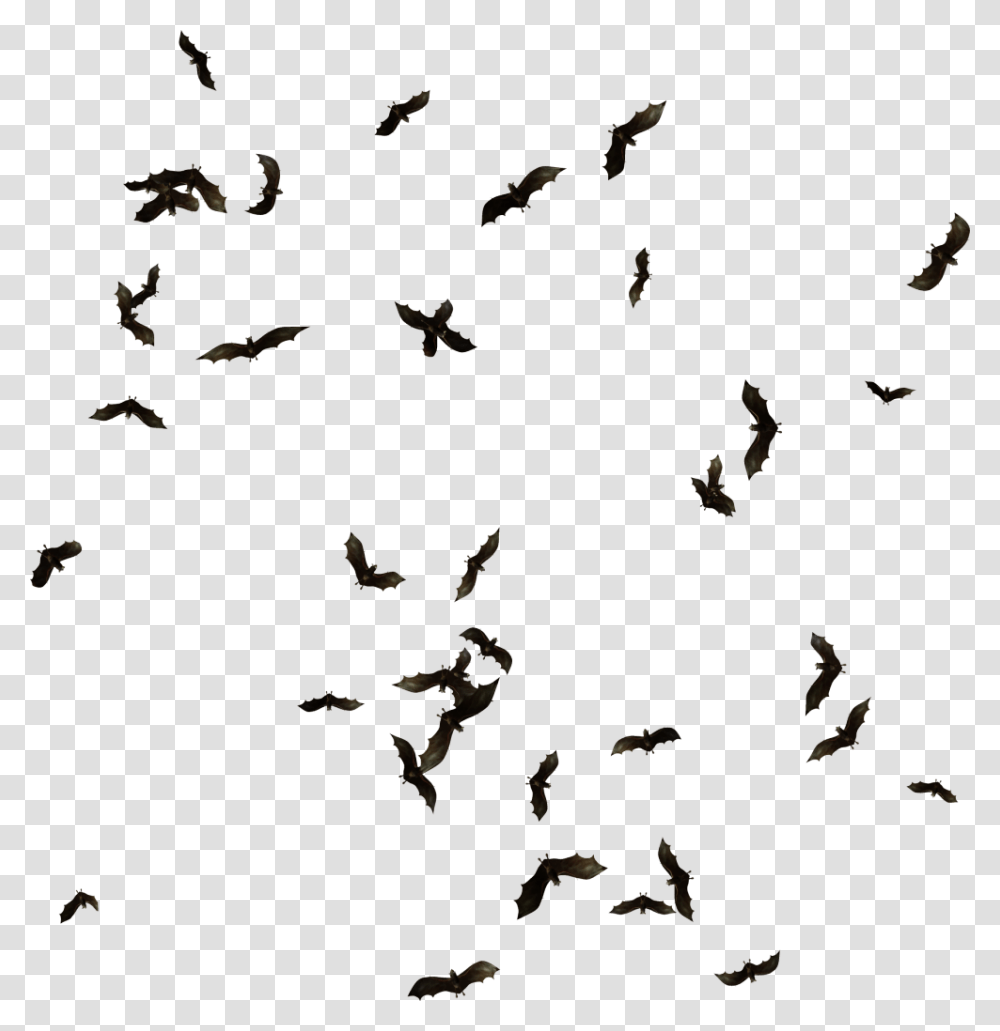 Swarm Of Bats Clipart Download Swarm Of Bats, Flock, Animal, Bird, Flying Transparent Png