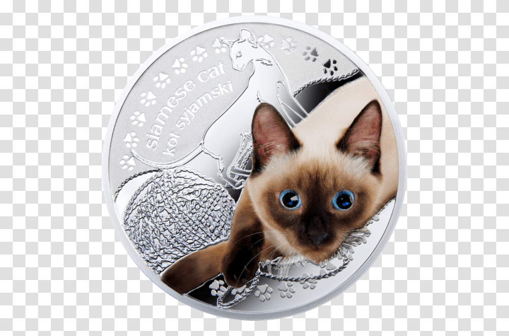 Swarovski Siamese Cat, Pet, Mammal, Animal, Coin Transparent Png