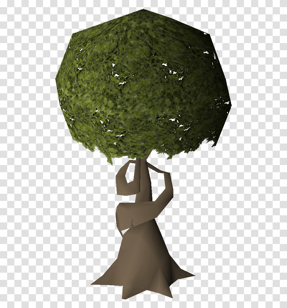 Swaying Tree Osrs Wiki Runescape, Sphere, Plant, Moss, Bush Transparent Png