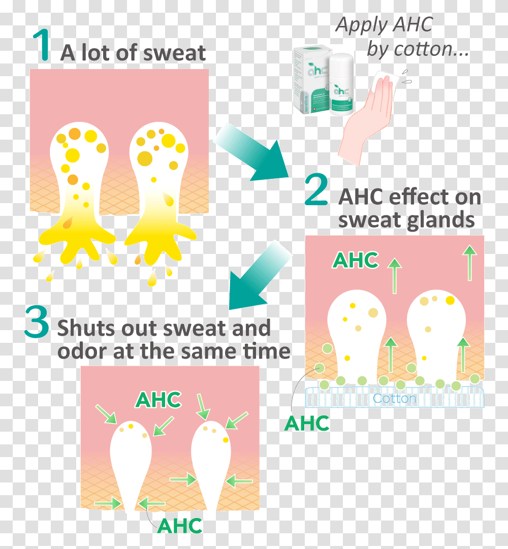 Sweat Glands Image Dot, Bird, Animal, Poster, Advertisement Transparent Png